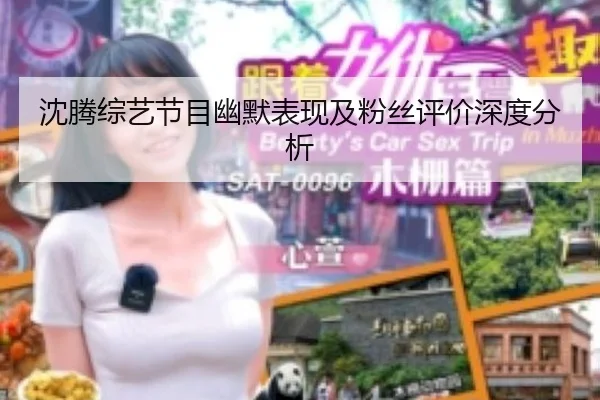 沈腾综艺节目幽默表现及粉丝评价深度分析